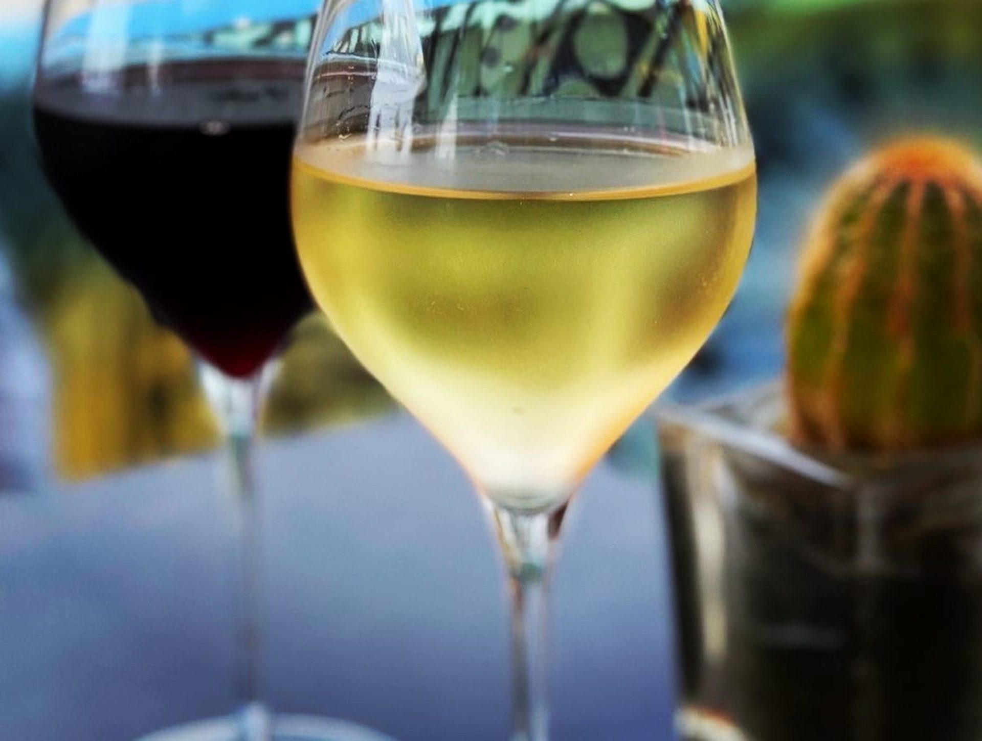 Red wine and cold beer